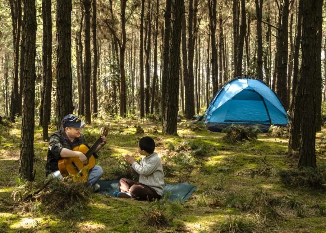 走进和平森林公园,春的气息扑面而来,绿草如茵,生机勃勃.