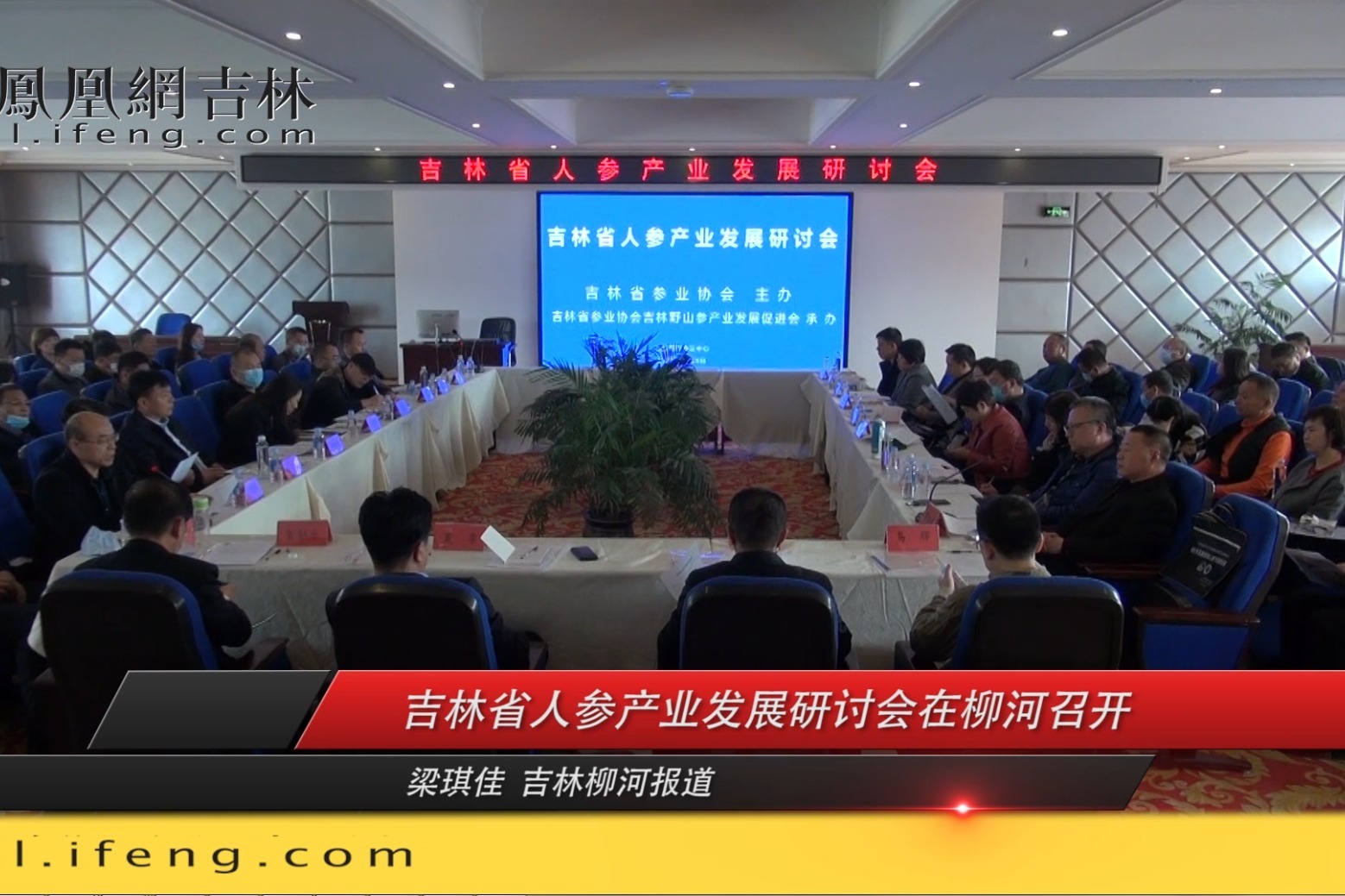 吉林省人参产业发展研讨会在柳河召开