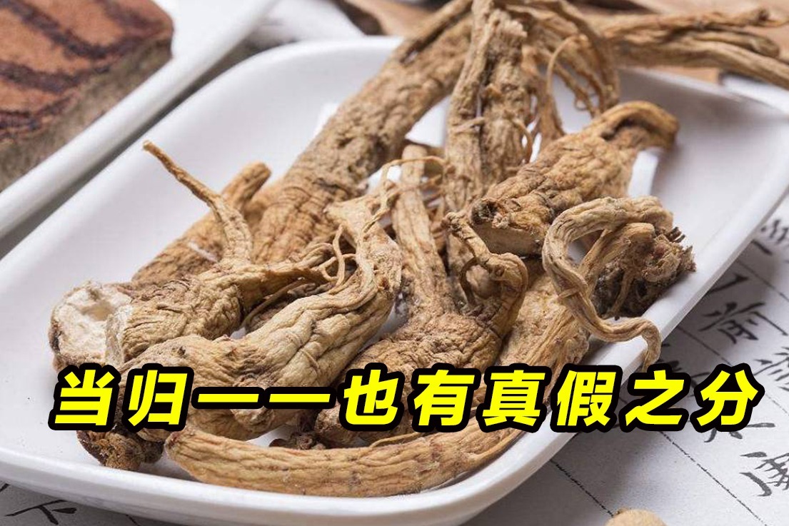 当归也有真假之分