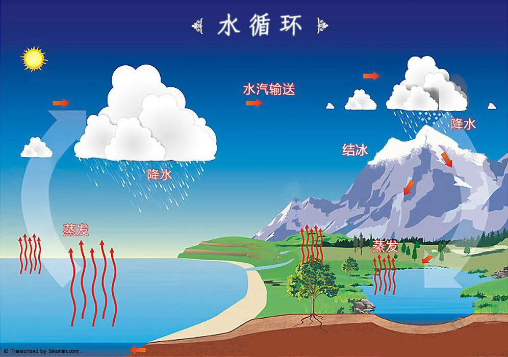 水是液体,受热而向上蒸发.