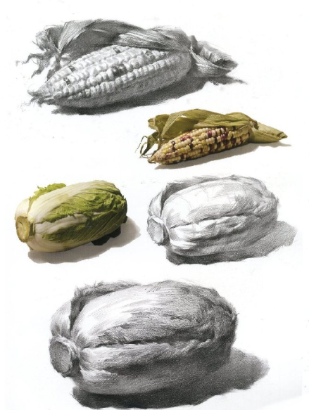 武汉209画室:素描静物果蔬类单体参考素材__凤凰网