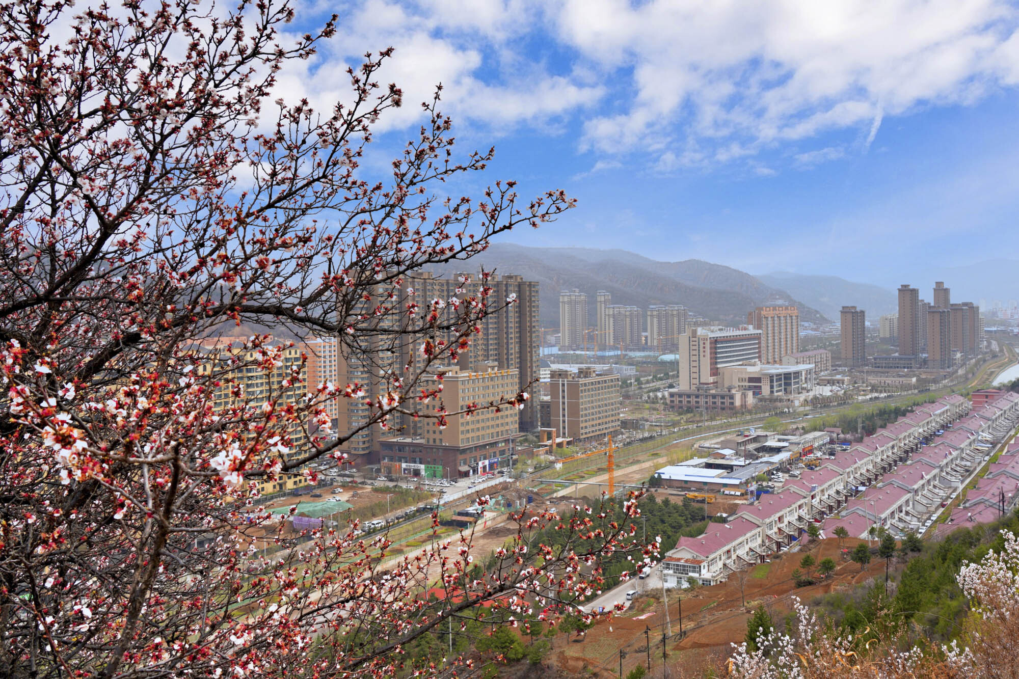 山西乡宁,五彩鄂邑城 百花竞相开__凤凰网