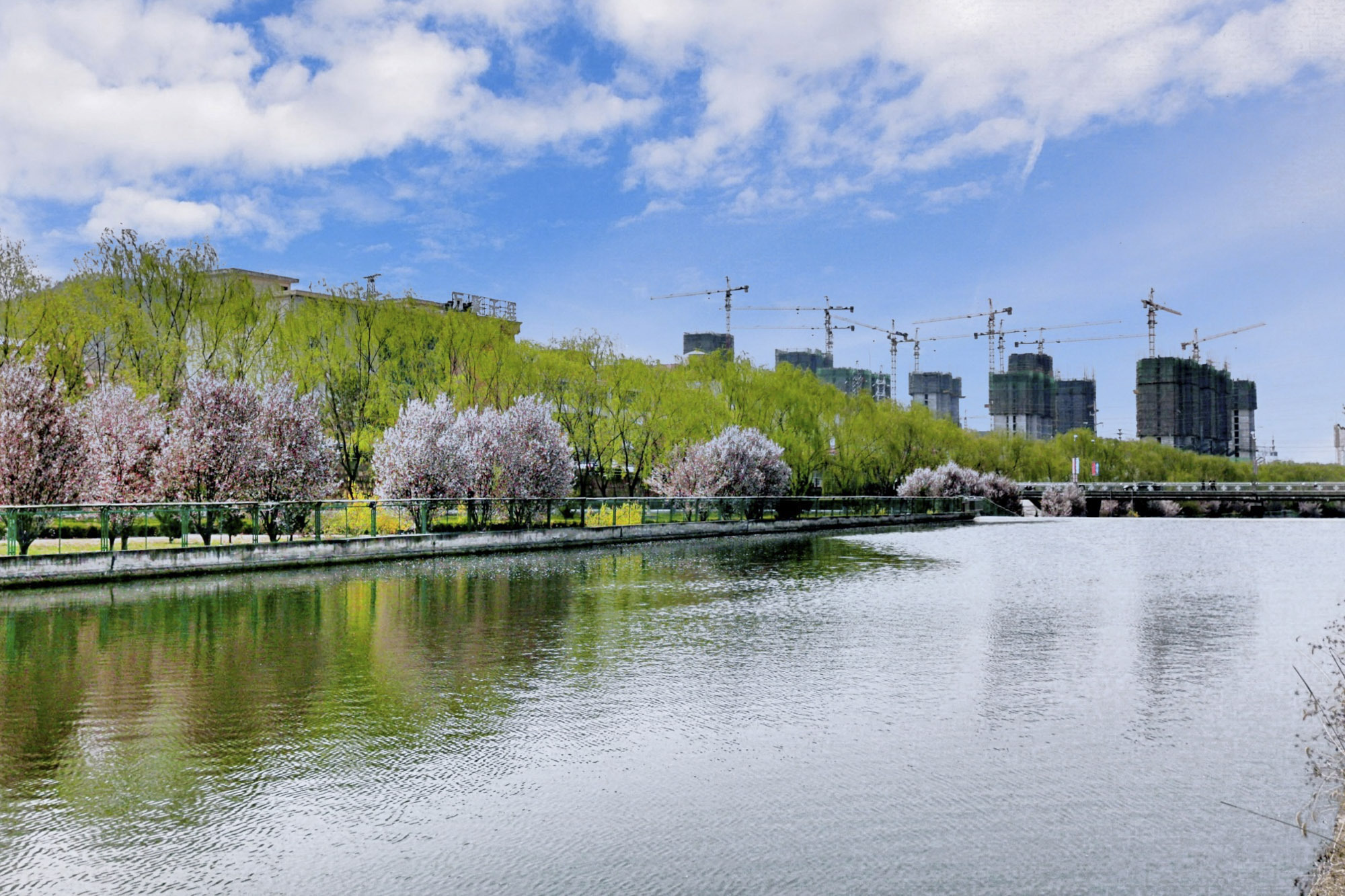山西乡宁,五彩鄂邑城 百花竞相开__凤凰网