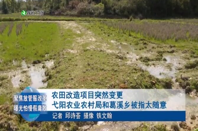 农田改造项目突然变更 江西弋阳县农业农村局和葛溪乡被指太随意