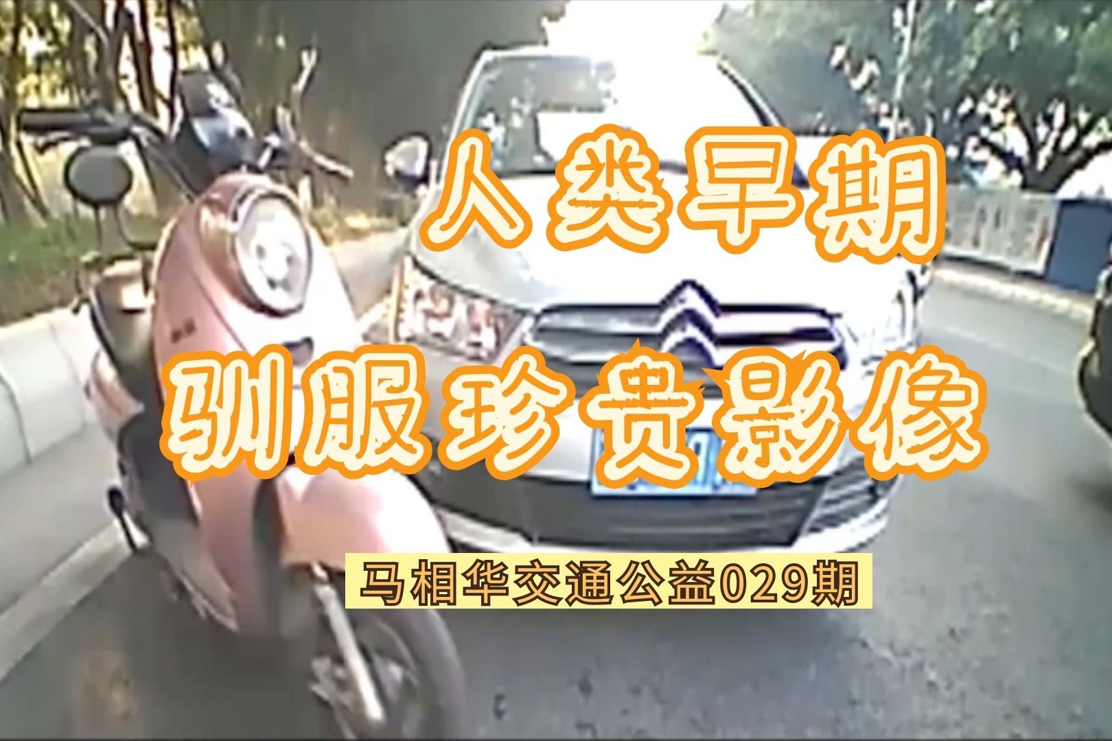 【马相华交通公益】029期：人类早期珍贵影像之“驯服”