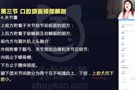 2021年阿虎教育精講課口腔解剖頜面部骨之顳下頜關節二