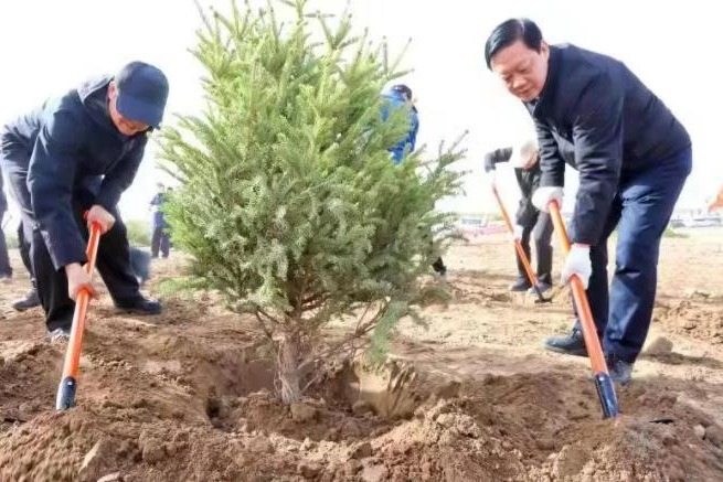 张掖2021年全民义务植树活动和“一园四带”国土造林绿化全面启动