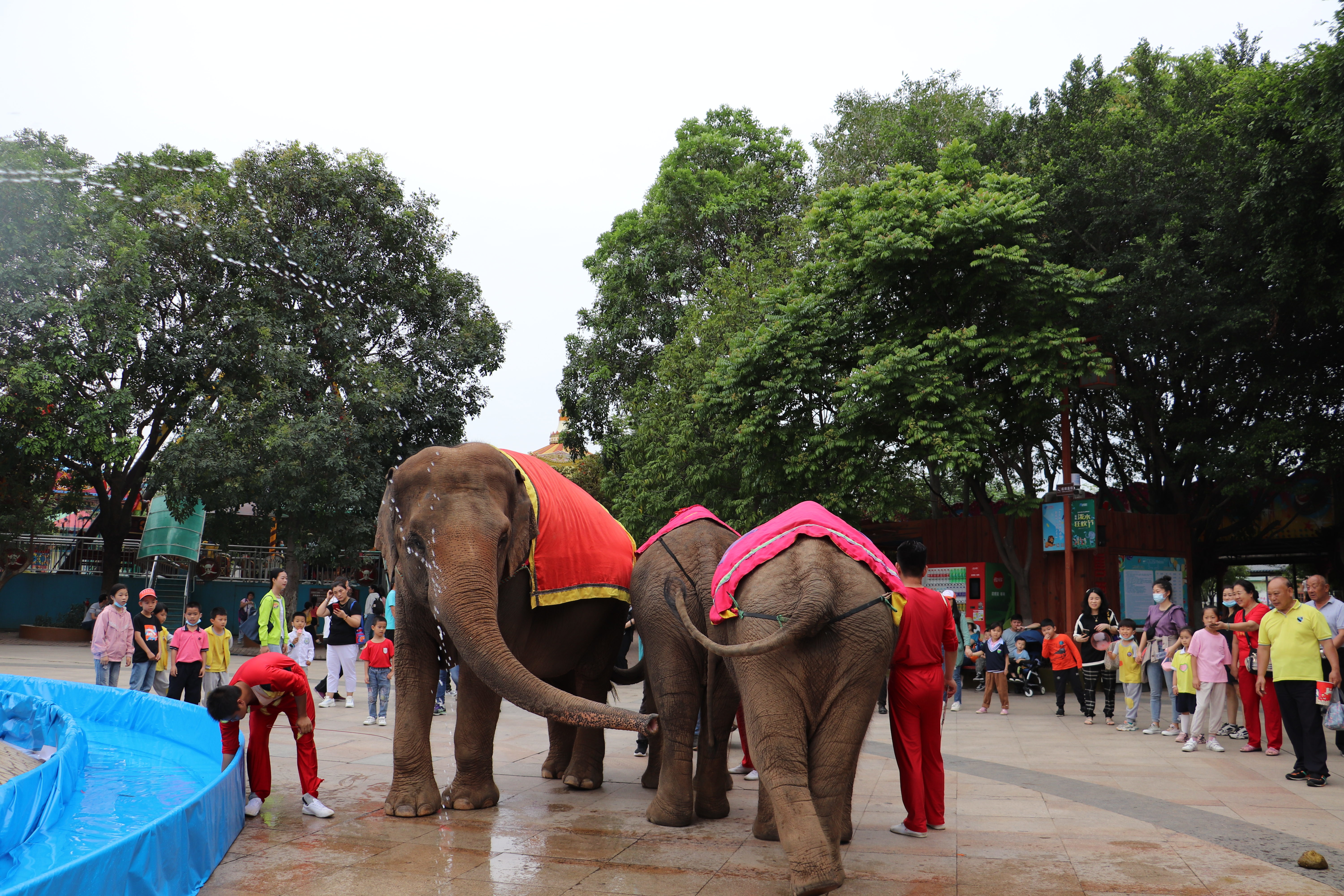 香市動物園喊你來