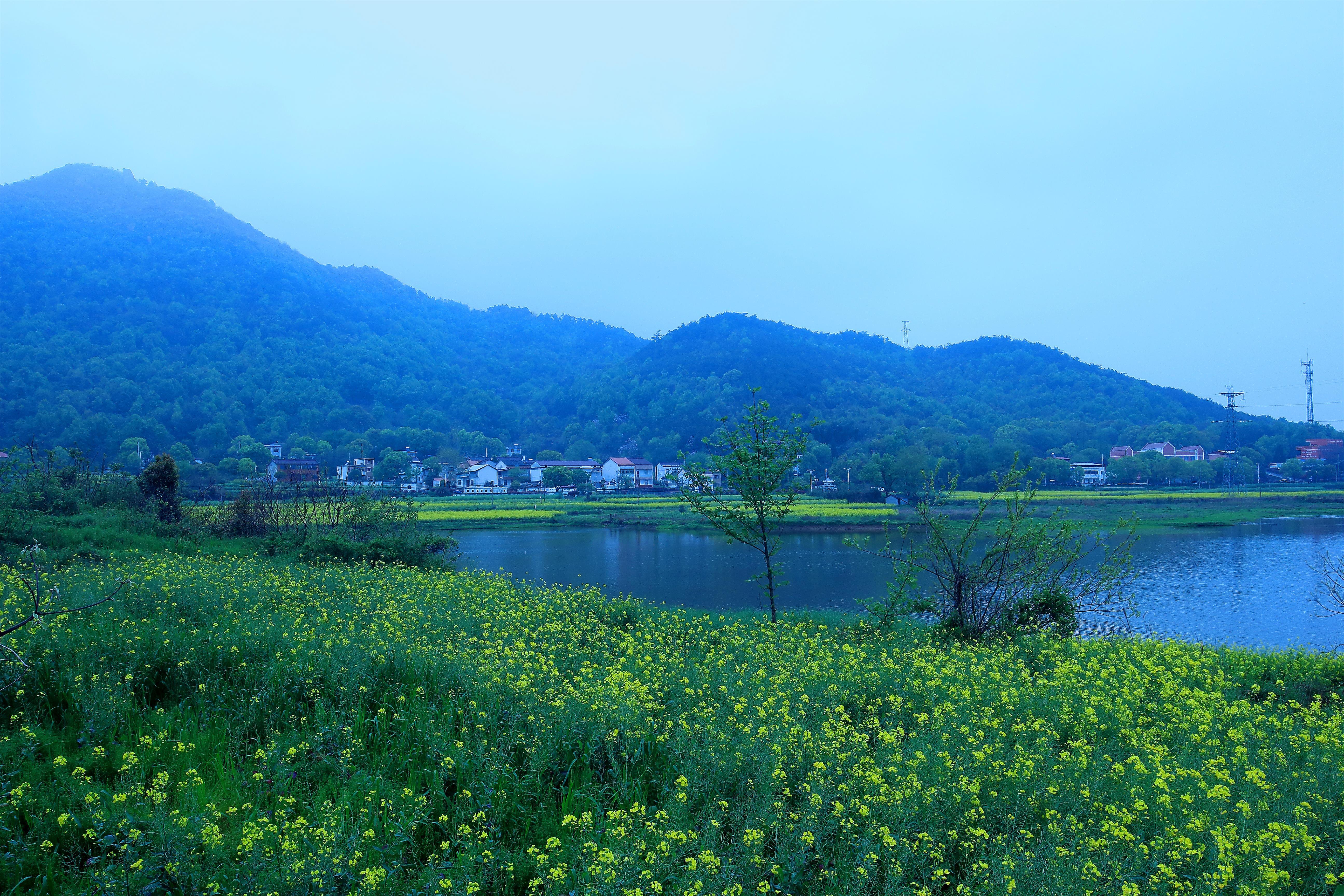 安徽枞阳旅游景点大全图片