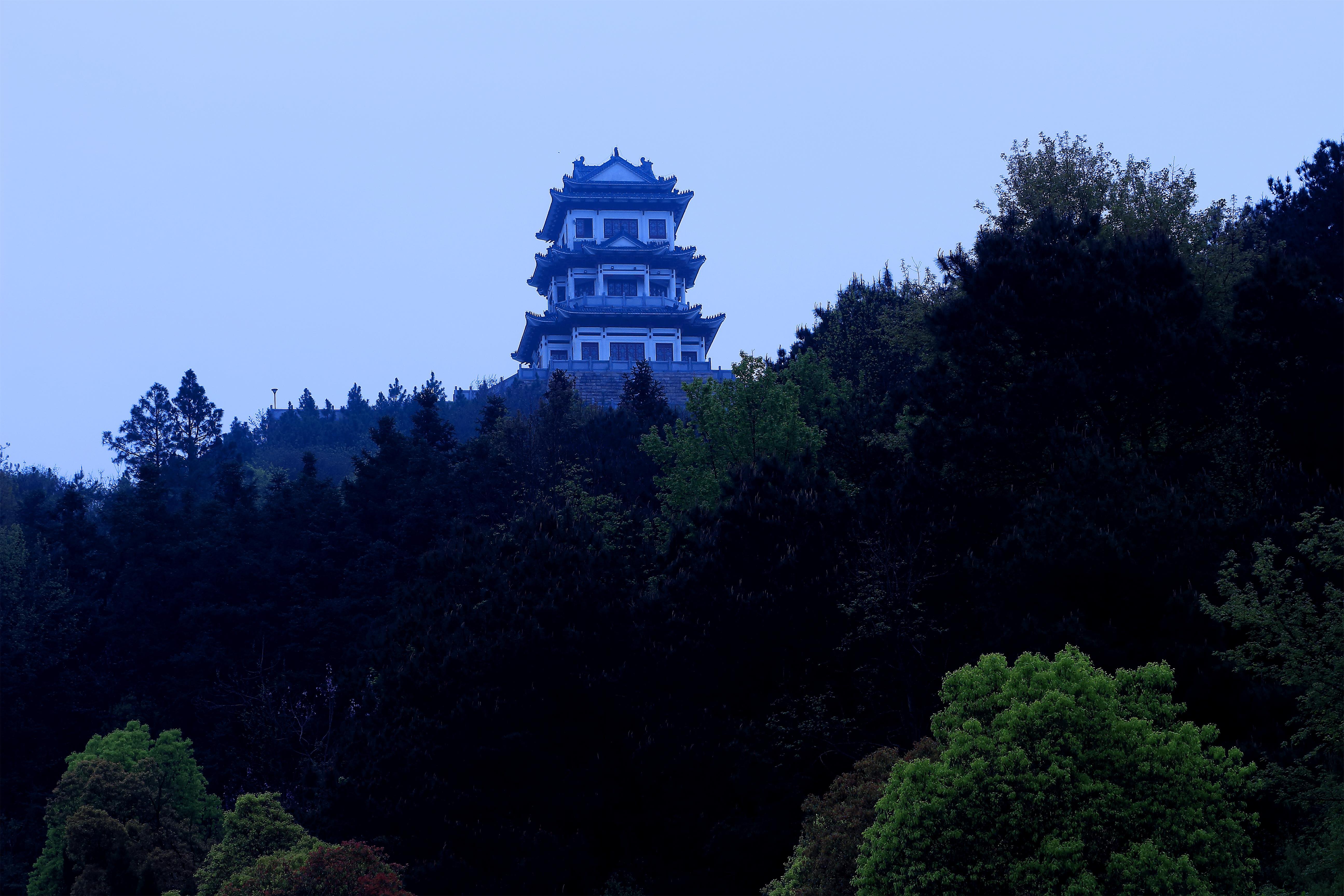 枞阳一日游图片