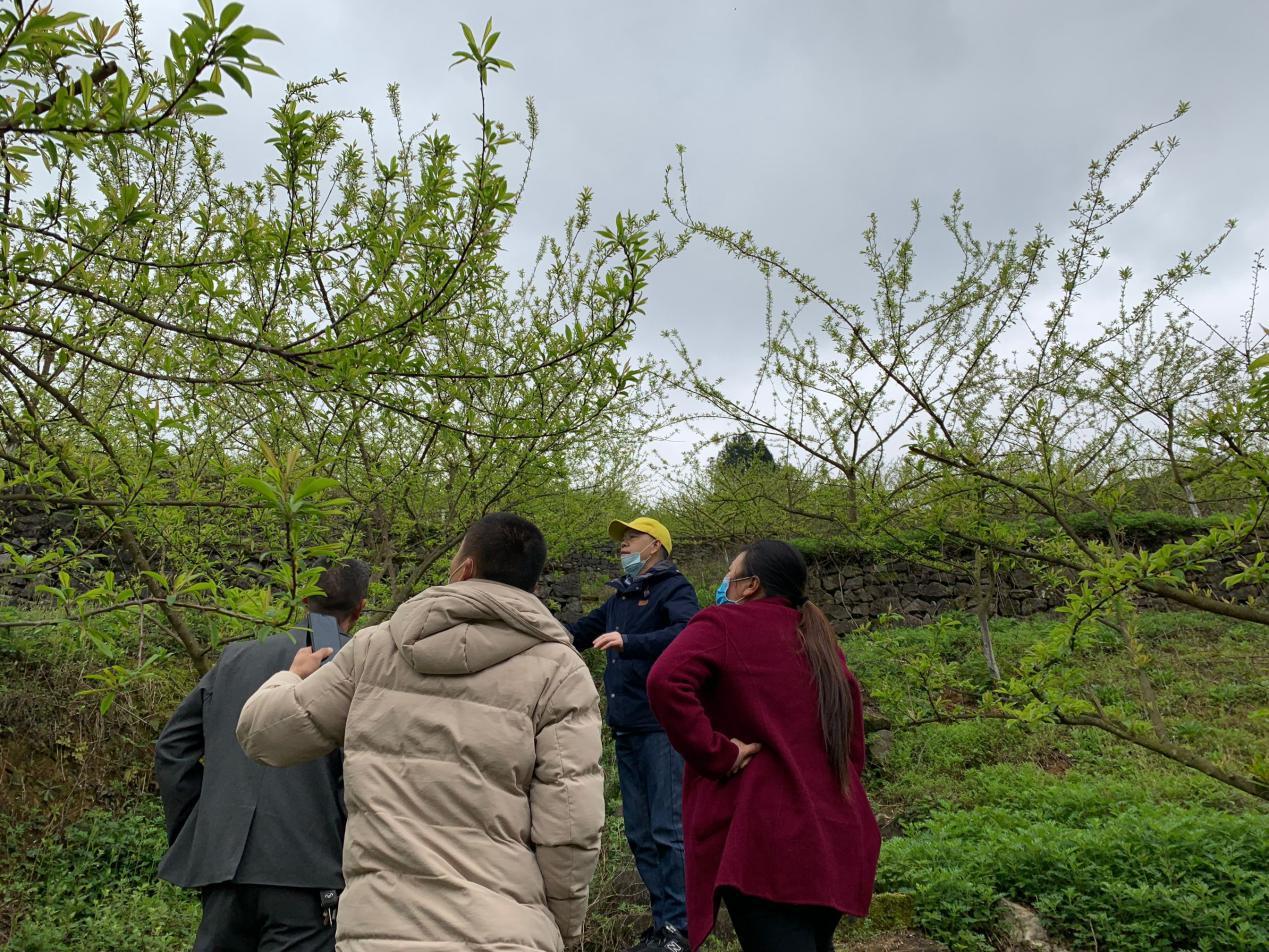 白云乡:持续推进人居环境整治 闻者向往 来者依恋 居者自豪
