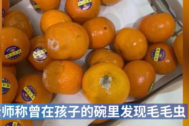 合肥吉的堡幼儿园被指使用变质食材续：园长停职！家长进班陪餐