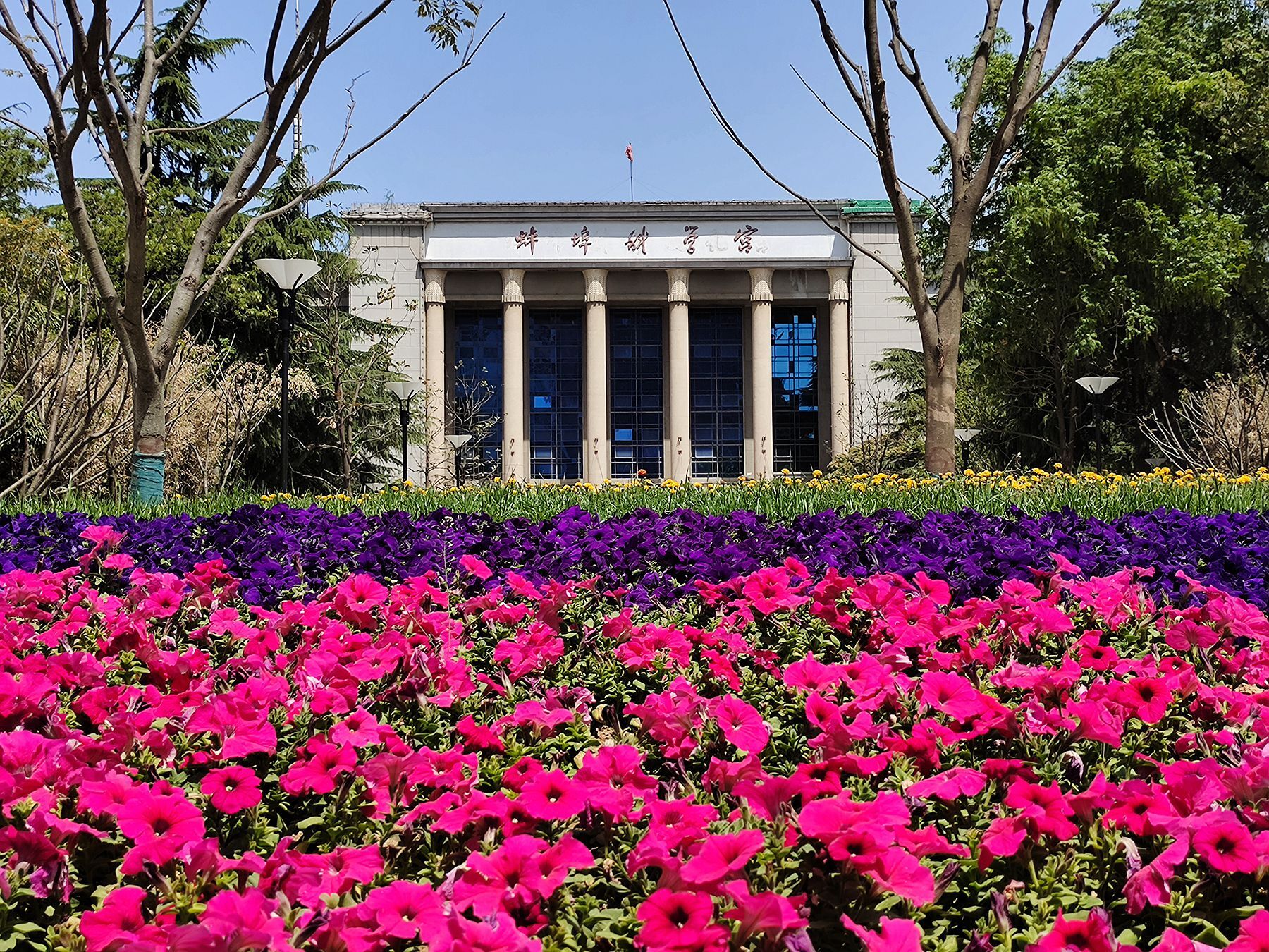 蚌埠市科学宫广场改造初见端倪