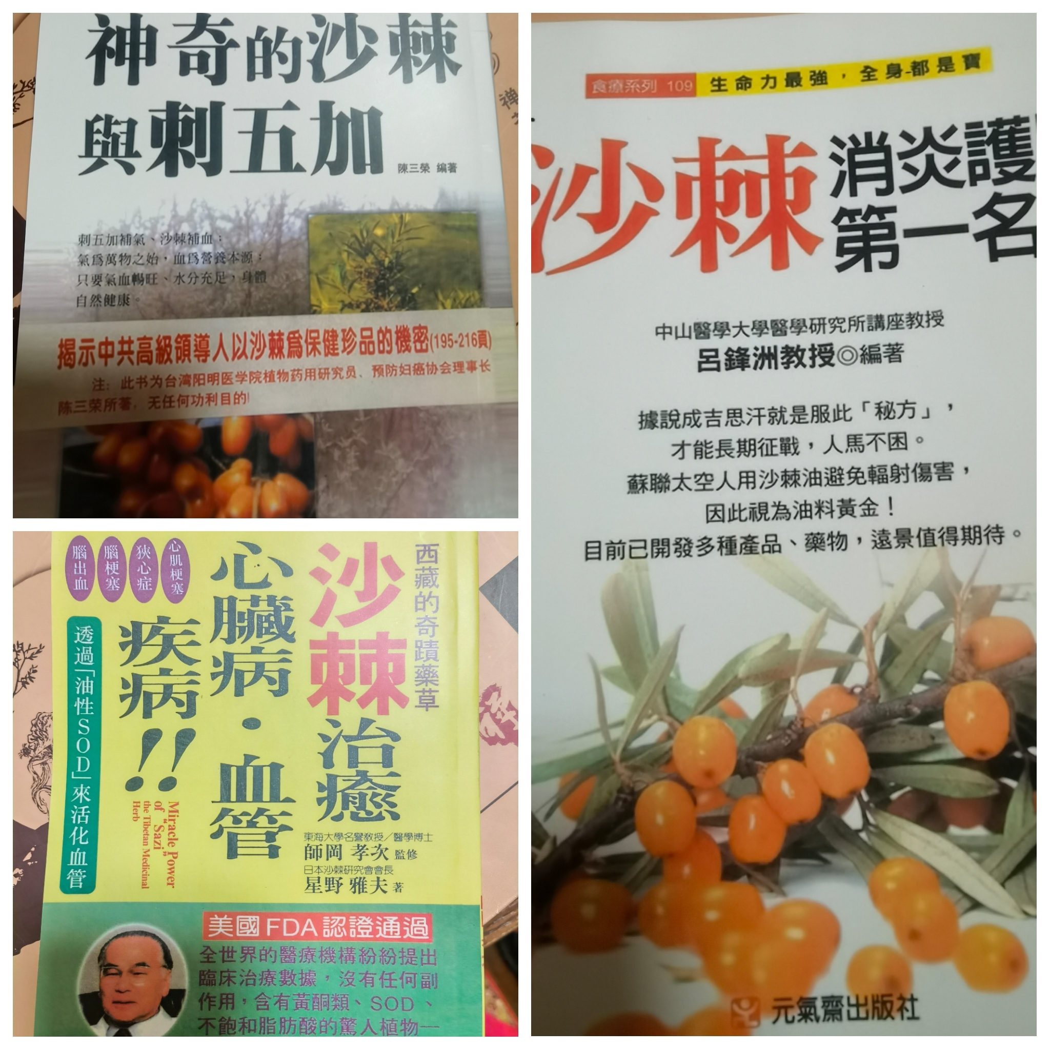 世界读书日,一起来读《沙棘》