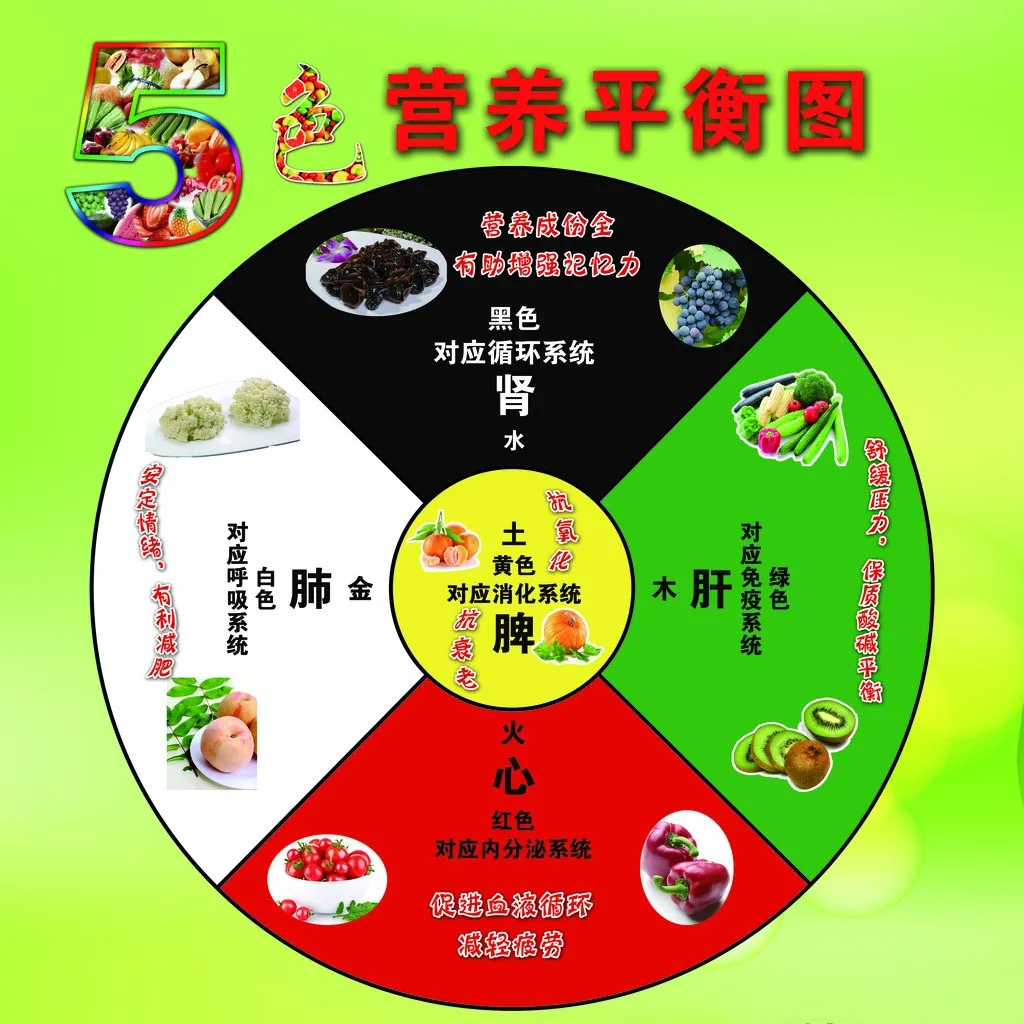 樊正伦:养生的智慧__凤凰网