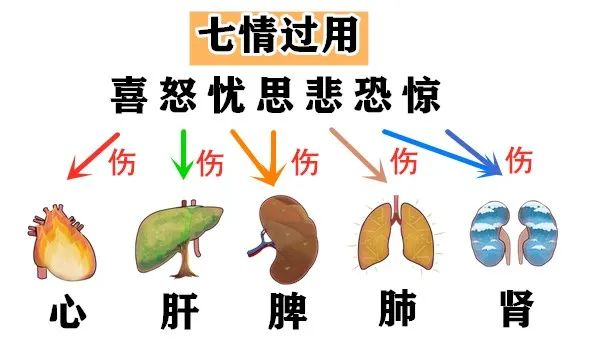 身体里既有湿邪也有热邪,这个热邪我们平时说的比较少,是风寒暑湿燥热