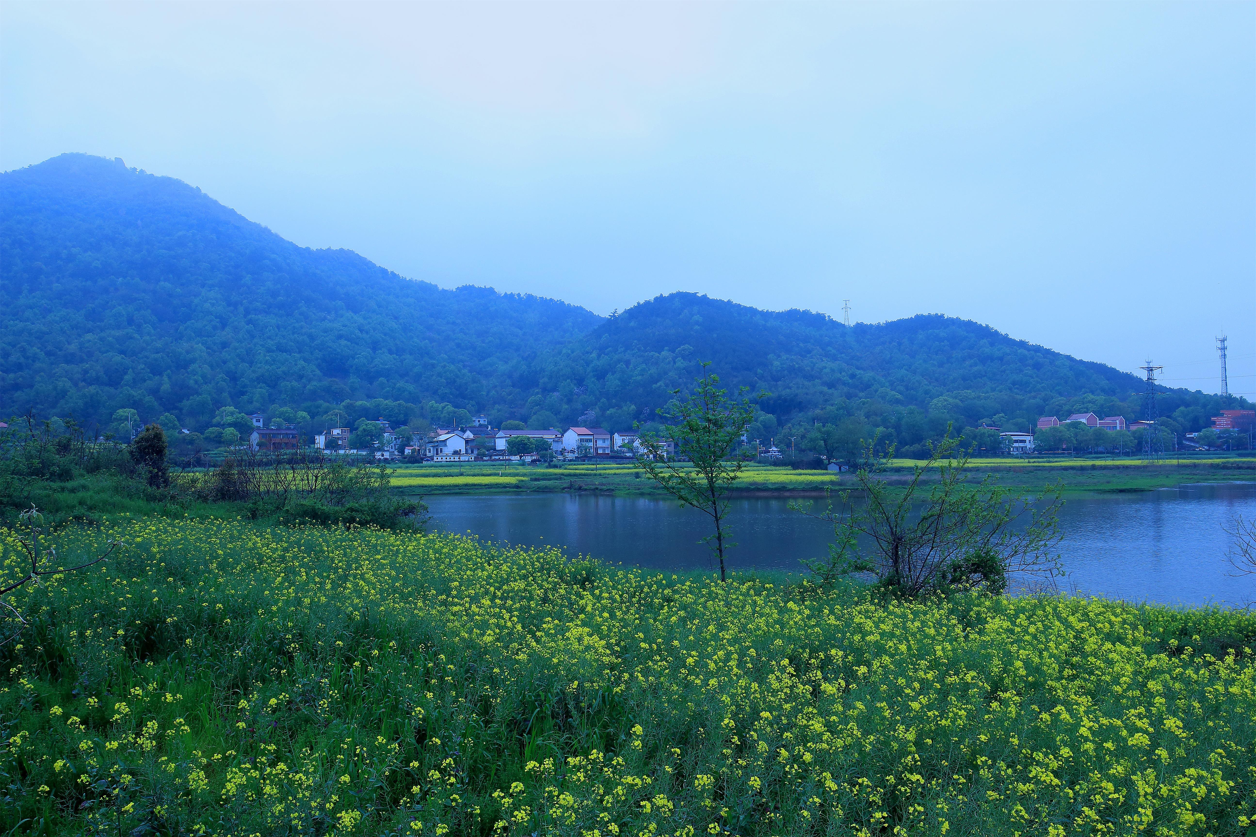 安徽安庆市宜秀区杨桥镇花山村游记