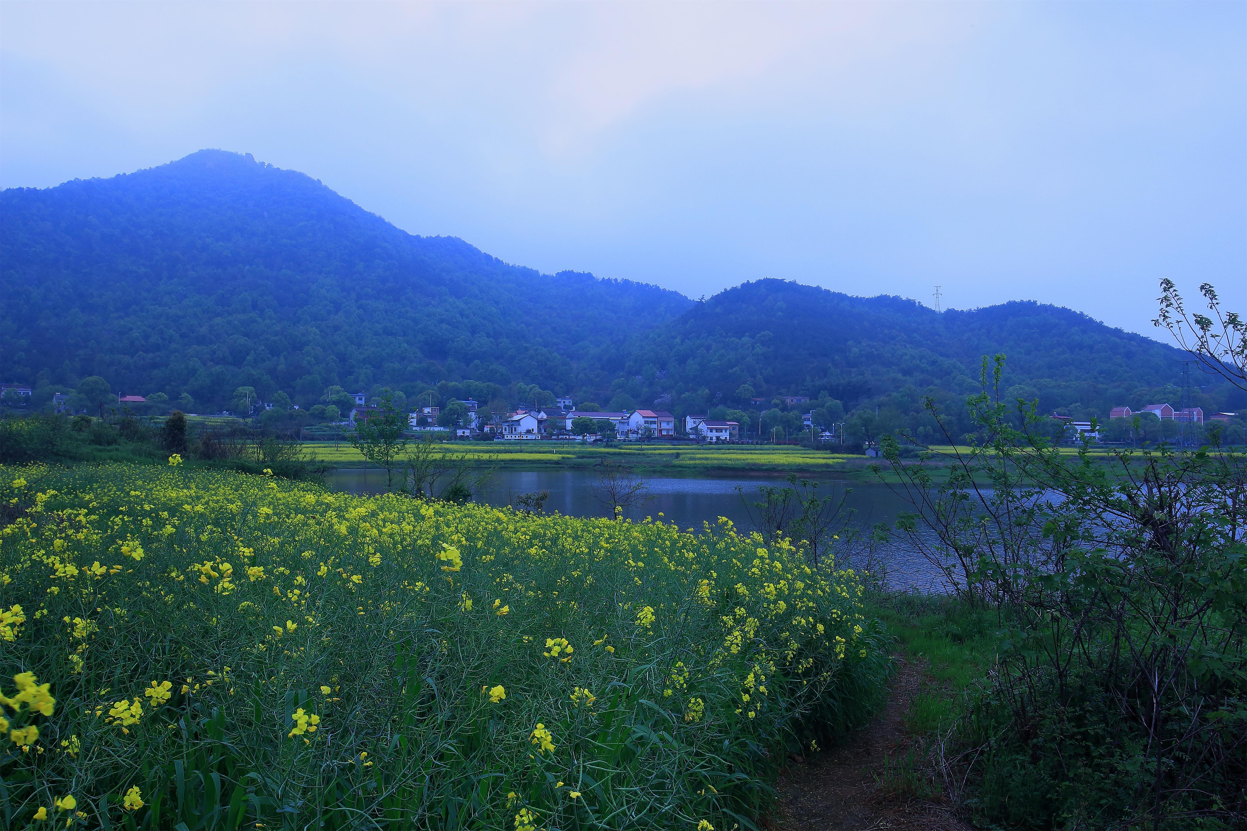 安徽安庆市宜秀区杨桥镇花山村游记