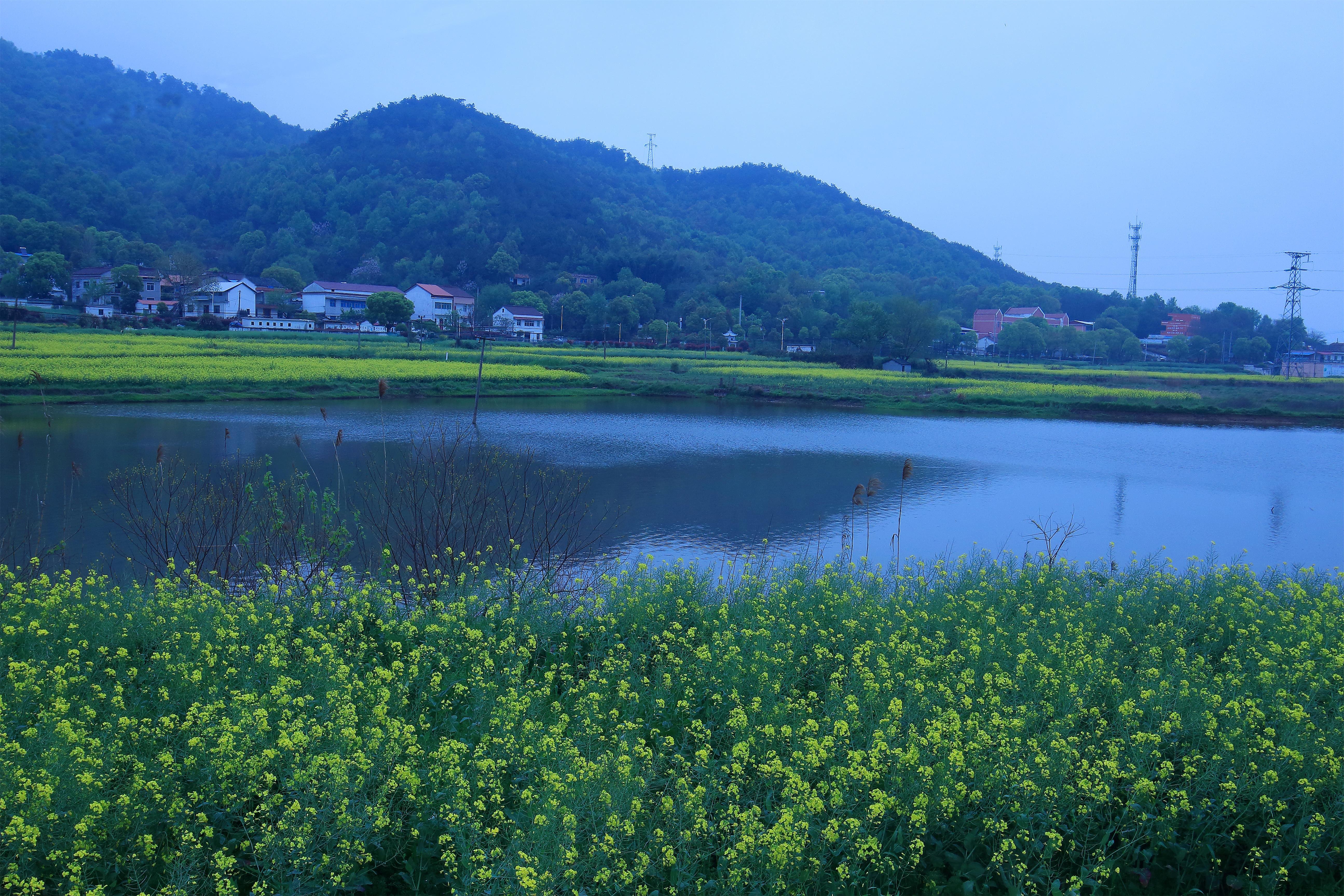 安徽安庆市宜秀区杨桥镇花山村游记