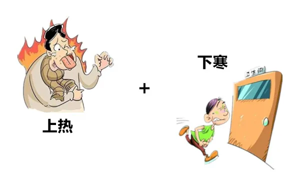 大白话说中医第一百三十一期|菊花润肺又平肝,引火下行不一般__凤凰网