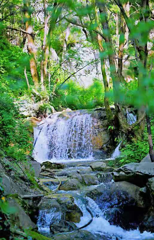 西安周边游就去太平万花山景区,感受不一样的春游.