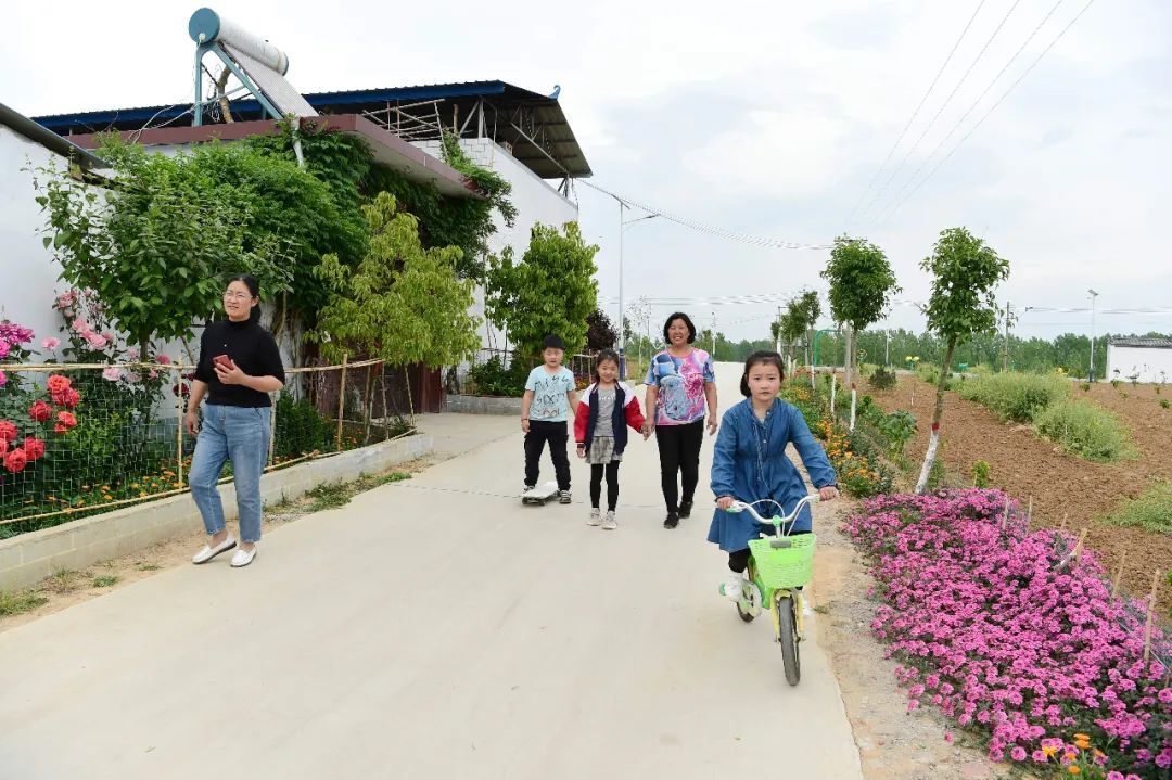 驻马店市泌阳县将再建37个"四美乡村"示范村,瞅瞅有恁村儿不?