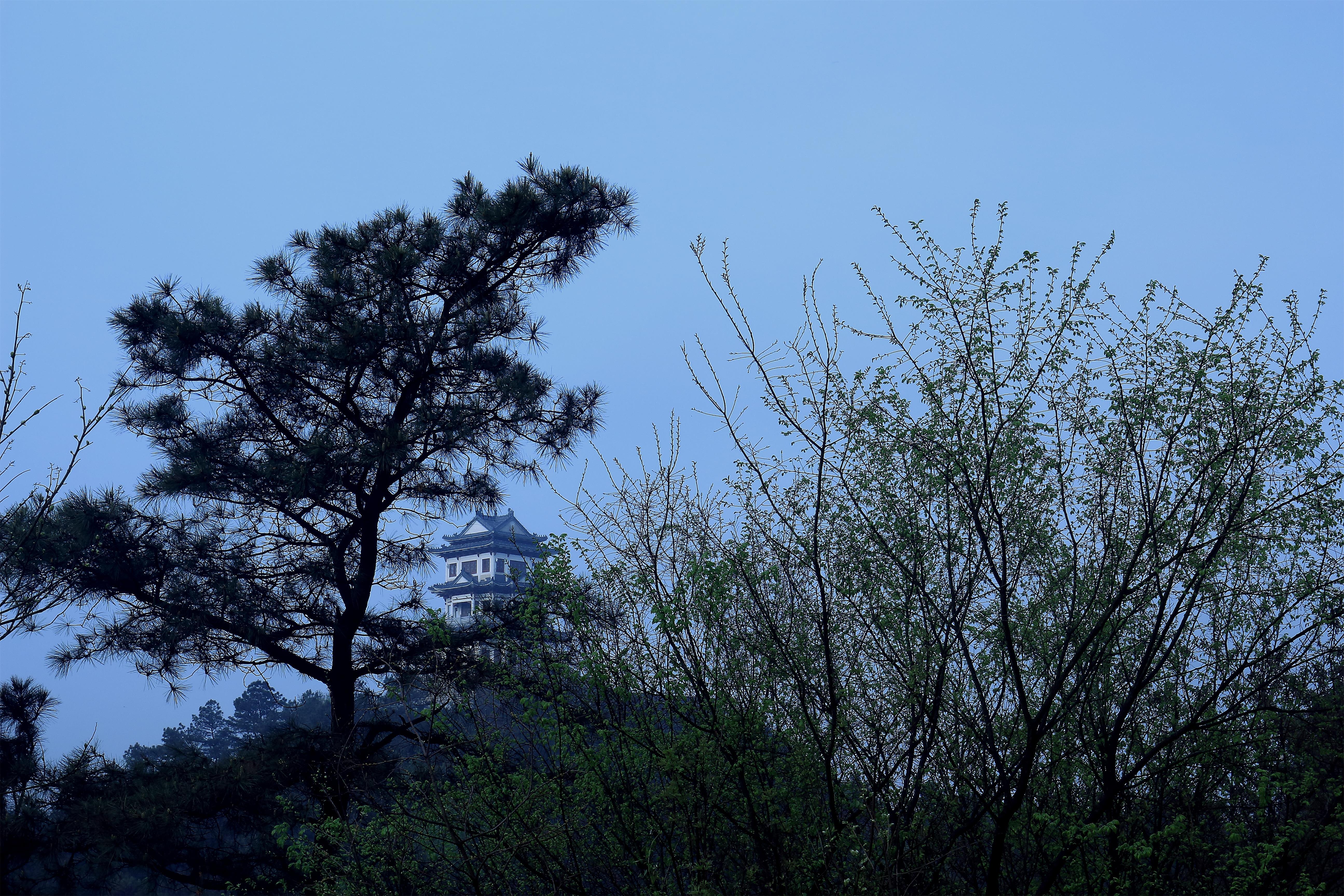 登安徽枞阳县旗山汉武文化生态园游记__凤凰网