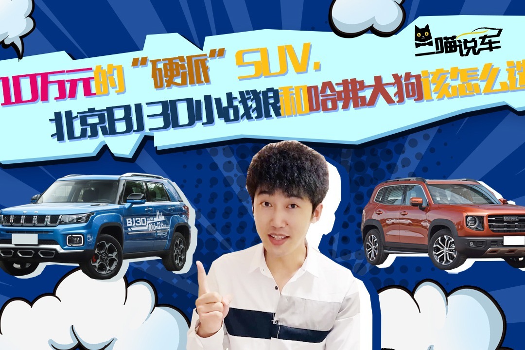 十万级“硬派”SUV，BJ30小战狼和哈弗大狗该怎么选？