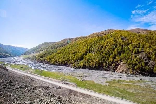 【哈尔尕图(松树沟)森林风景区】