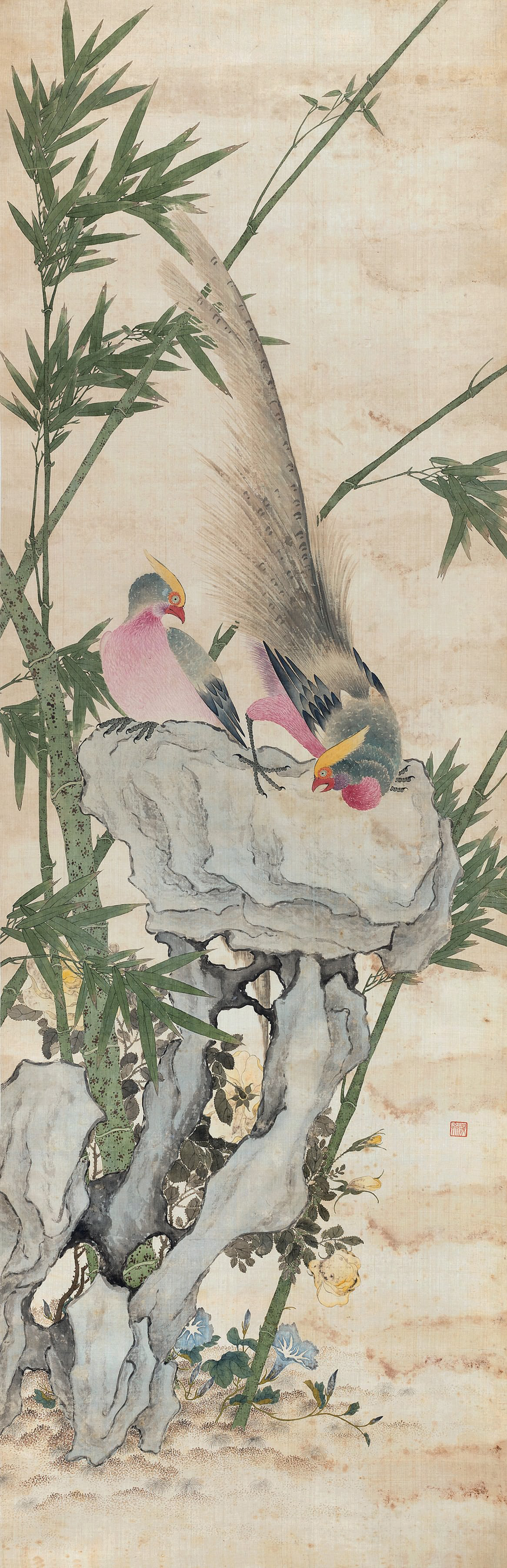 清代画家张盘花鸟画欣赏__凤凰网