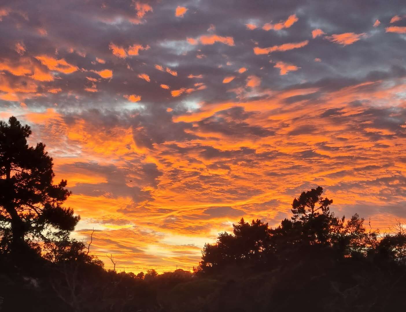 英雄无名