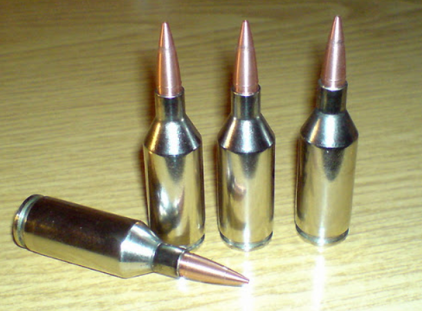 小口径,超高速,一枪打爆土拨鼠 奇葩4.4mm暴力野猫弹的故事