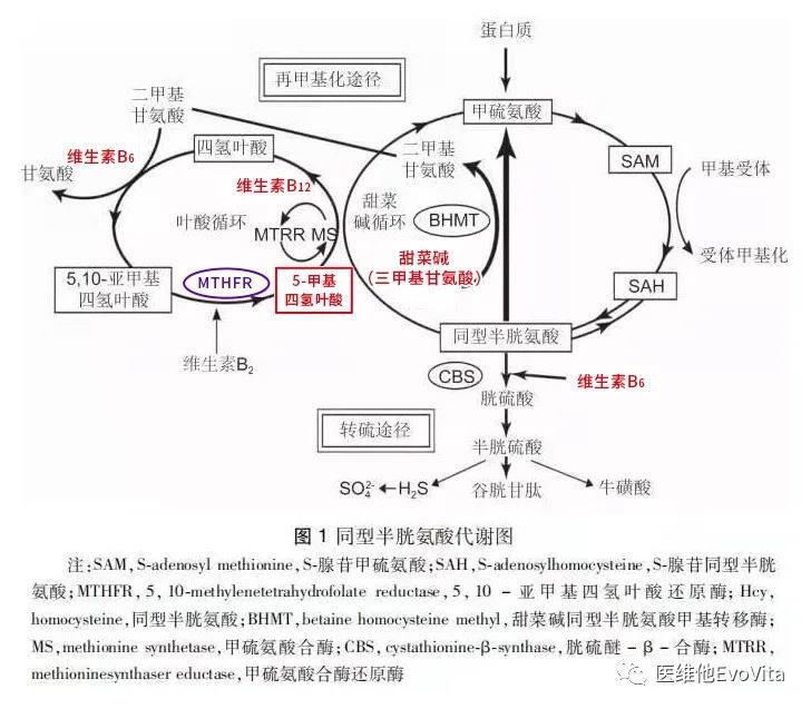 如何通过HTML语义化提高网页结构清晰度 (如何通过html给网页设置背景颜色)