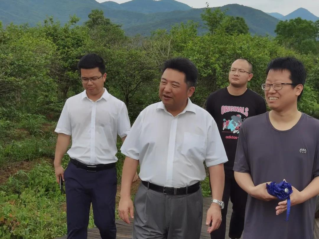 三明市副市长郑剑波到沈郎公司油茶基地调研__凤凰网