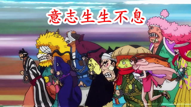 海贼王974集:御田身死,一代传说落幕,但其意志生生不息