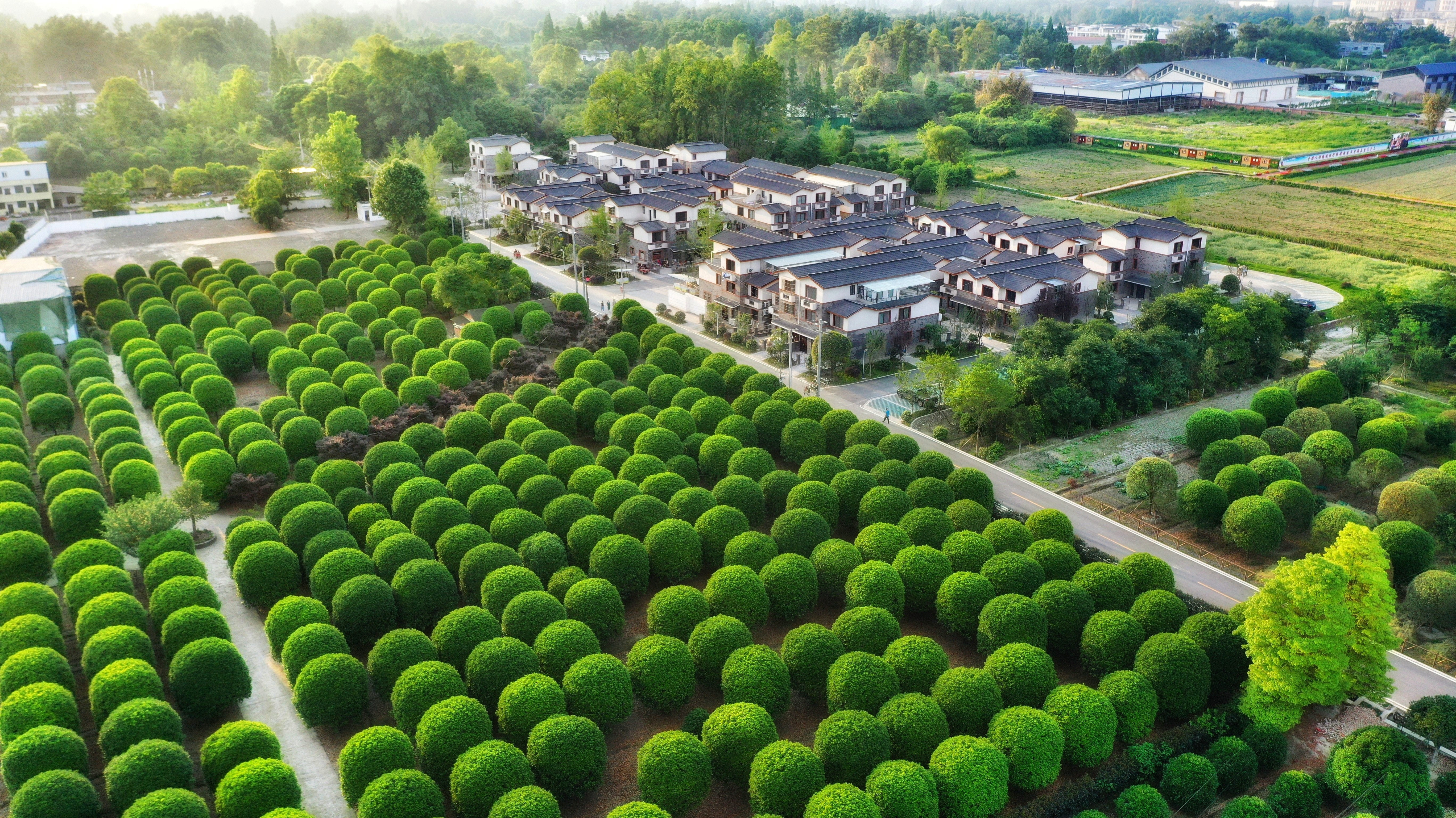 "最美东林艺术村"摄影作品公布 创新诠释公园城市的"乡村表达"