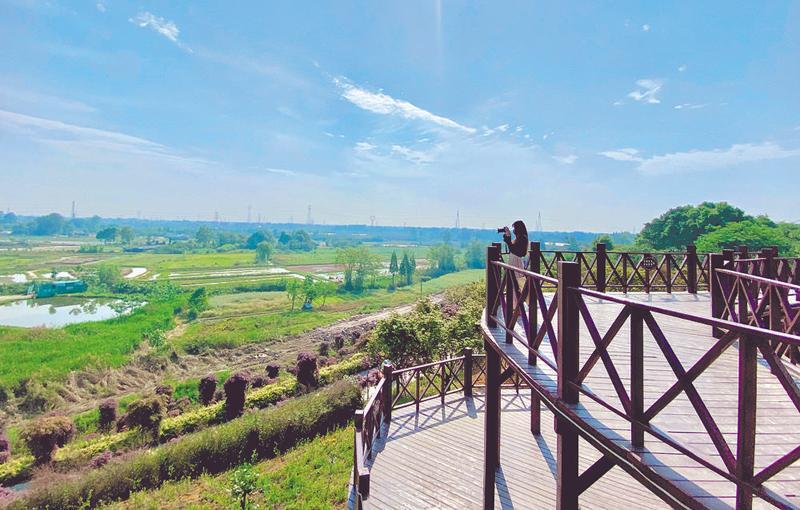 "最美东林艺术村"摄影作品公布 创新诠释公园城市的"乡村表达"