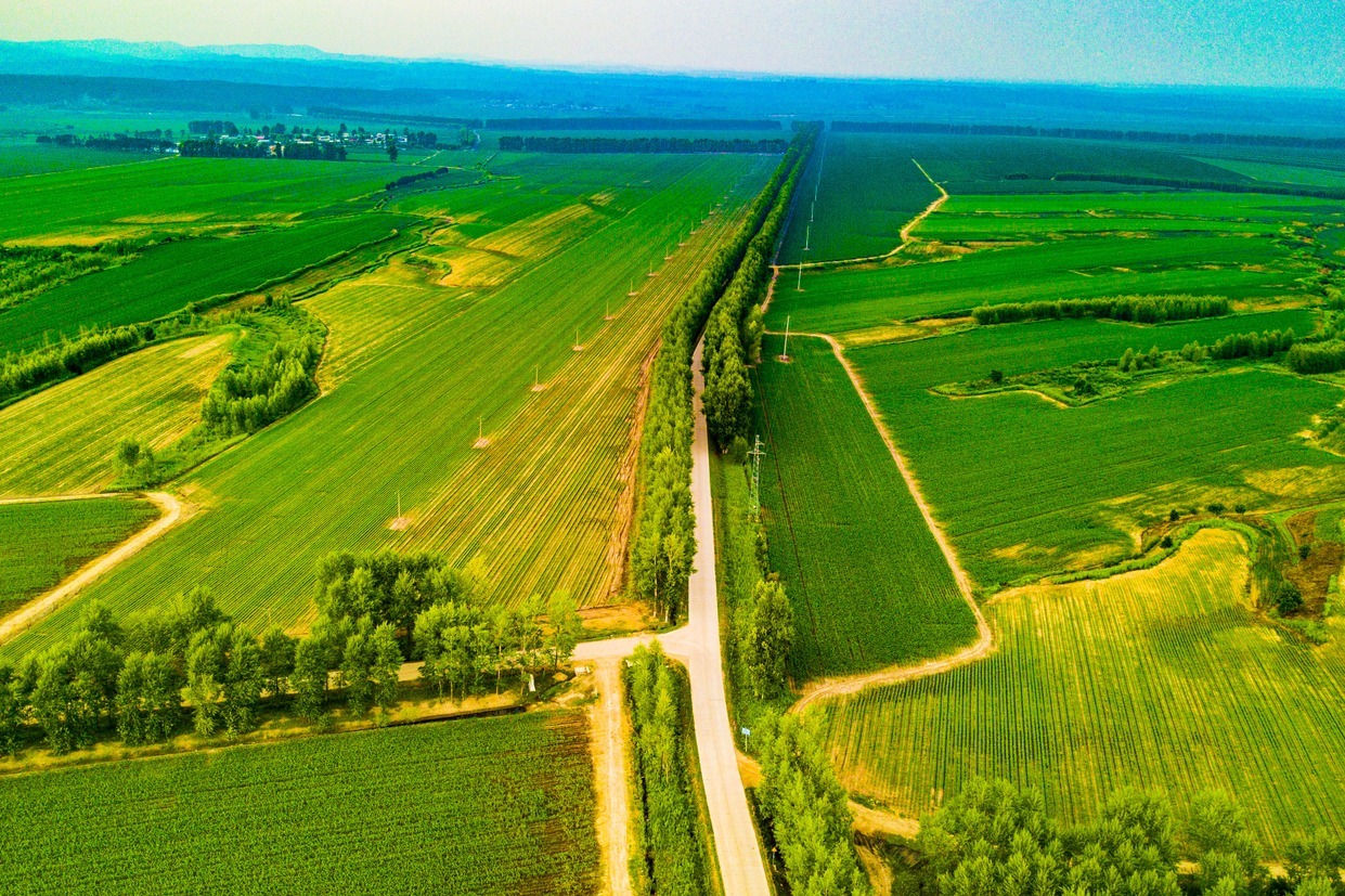 汤原县汤亮公路入选2020年度 “我家门口那条路—最具人气的路”