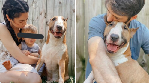 就在前几天,nikki发布了最新的ins和youtube,配图依旧是 一家人和