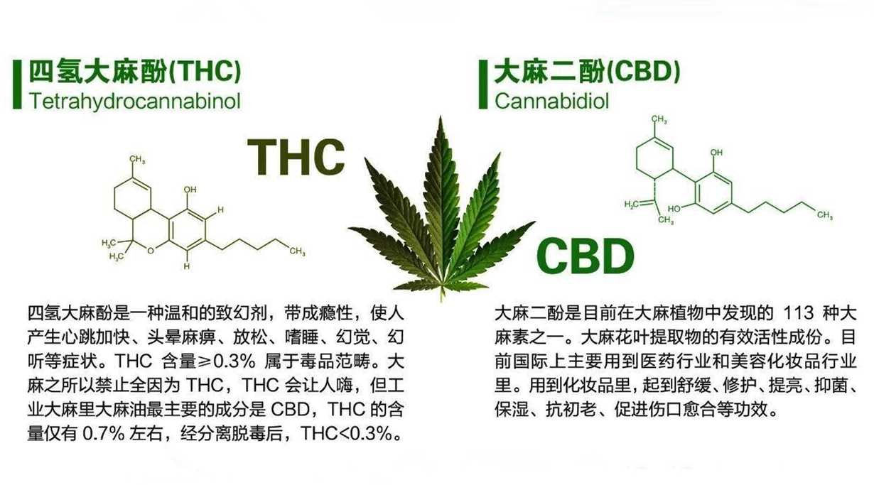 其中四氢大麻酚(thc,后简称thc)是神经活性物质,产生精神作用,会使人