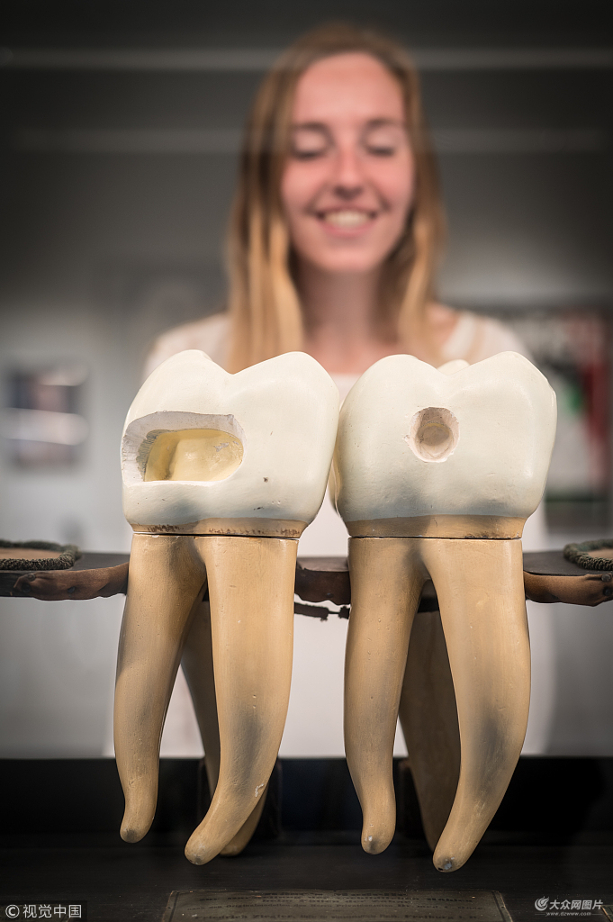 齿间艺术家世家口腔推荐另类"牙齿展"展示人类与虫牙斗争史__凤凰网