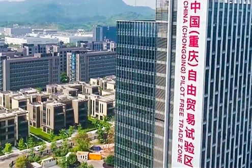 视频丨重庆自贸试验区结出“创新果”多项经验推广全国