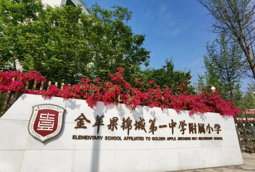 高新区新川板块学区配套如何?