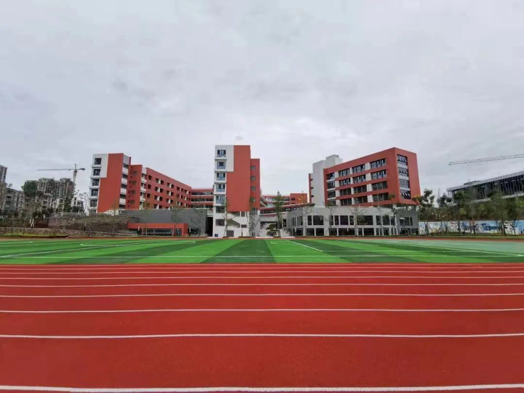 高新区新川板块学区配套如何?