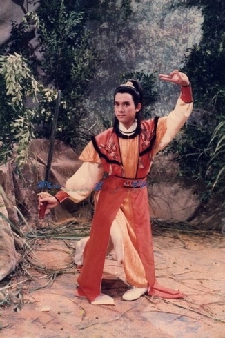 潘宏彬版杨康剧照,这玉树临风的样子,也挺有贵族气质的