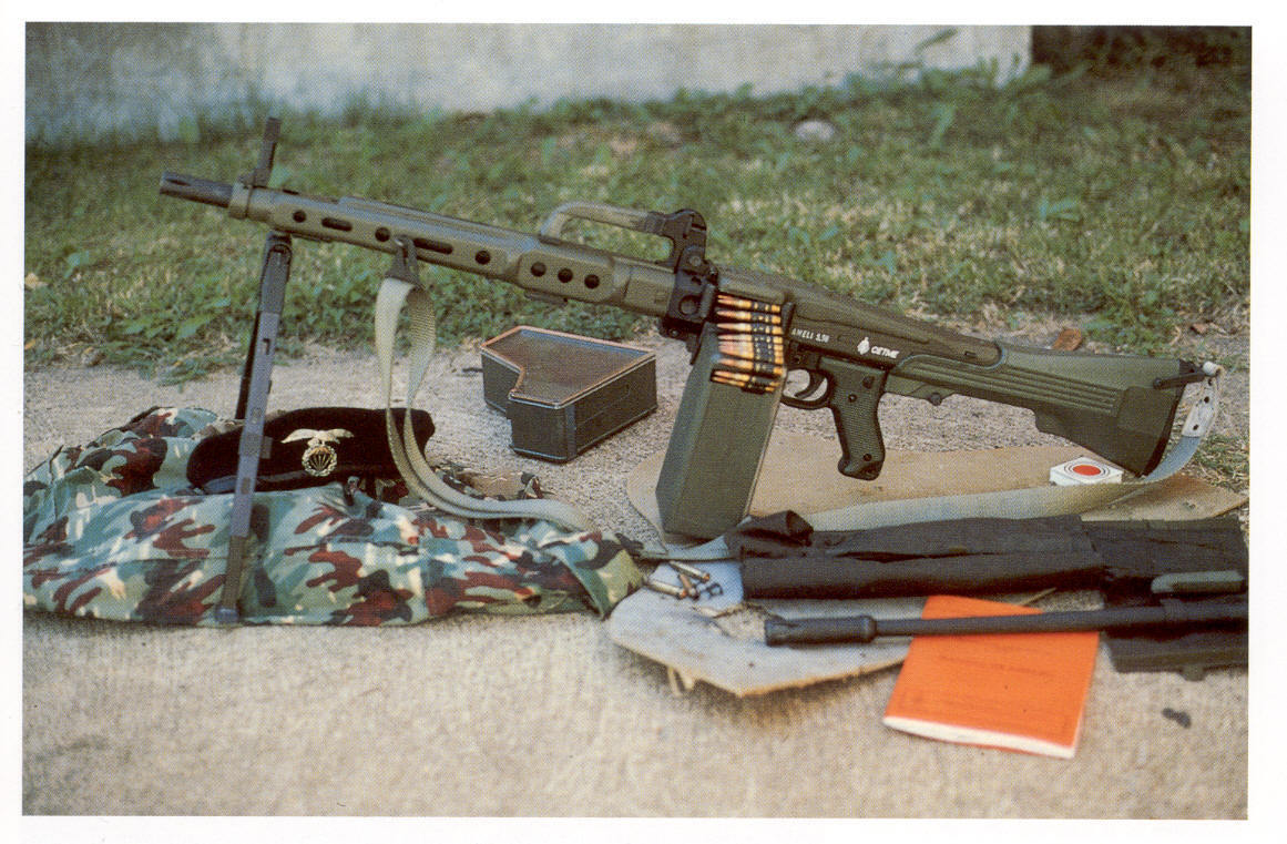 "我真的不是mg42,但和它有点关系",西班牙阿梅里轻机枪