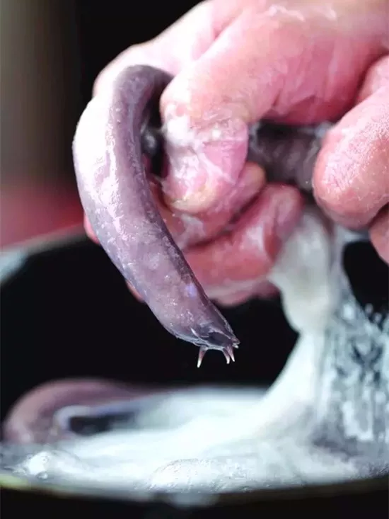 有一种海鲜,全身无骨爽口弹牙,听说吃完床都顶不住.