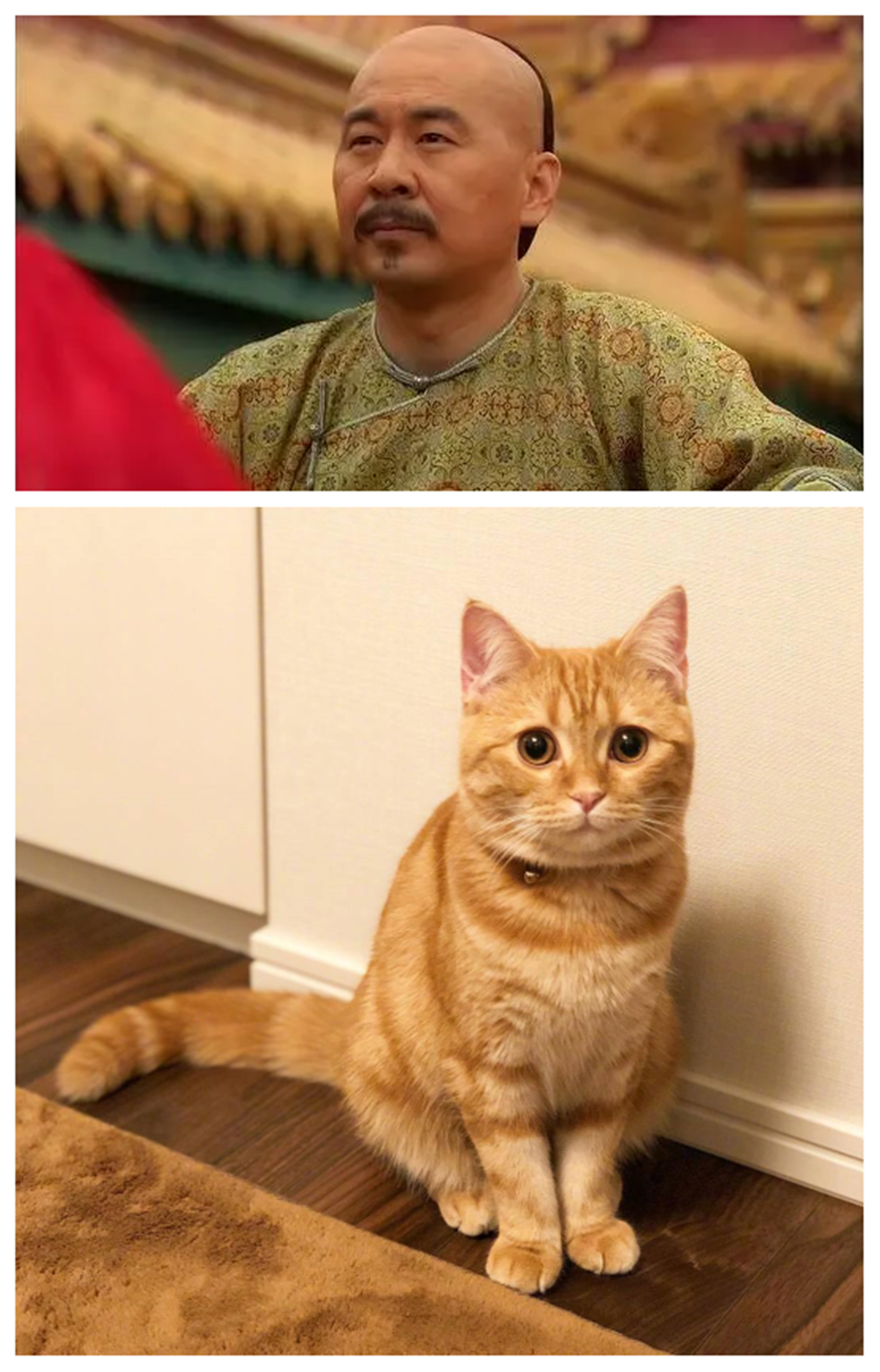 《甄嬛传》:观众给剧中人物起了外号,胖橘,二哈,苏妃,太形象