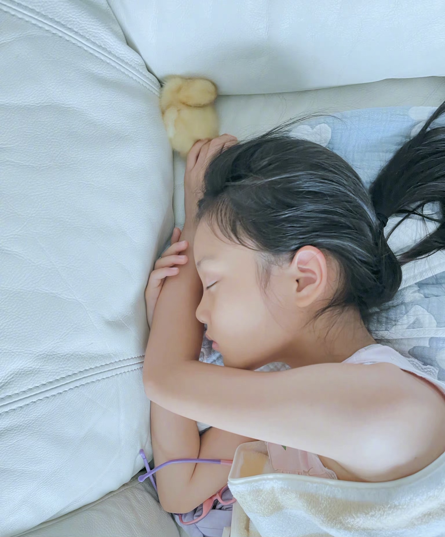 李小璐晒女儿近照,8岁甜馨升级为"鸭妈妈",与小黄鸭同玩同睡