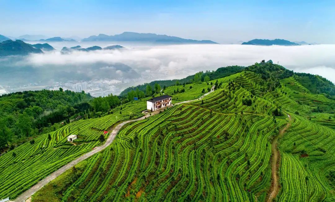 螺丝壳景区位于贵州省都匀市市西15公里处,海拔1738米,为斗篷山的姊妹